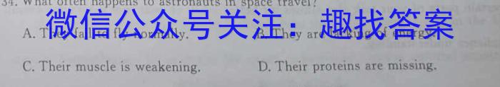 2023年河南省九年级第六届名校联盟考（23-CZ122c）英语