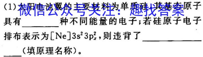 天一大联考·河南省2023届九年级学业水平诊断（一）化学