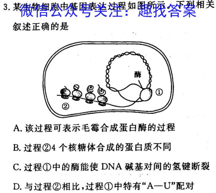 2023年湖北省八市高三(3月)联考生物试卷答案
