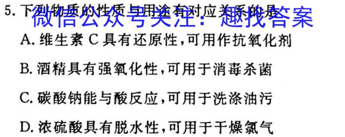 江西省2023届九年级《学业测评》分段训练（五）化学