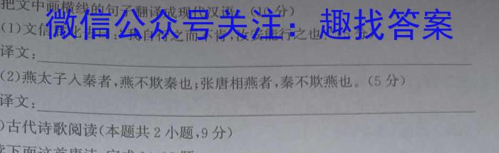 安徽第一卷·2023年安徽中考信息交流试卷（三）语文