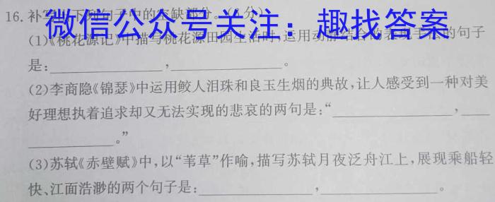 炎德英才大联考湖南师大附中2022-2023高二第二学期第一次大练习语文