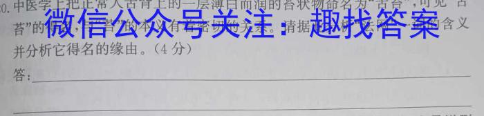天一大联考2022-2023学年高二年级基础年级阶段性测试(三)语文
