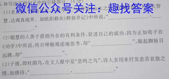 九师联盟 2022-2023学年高三2月质量检测XG语文