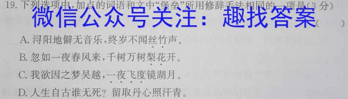 2023年湖南省普通高中学业水平合格性考试仿真试卷(专家版一)语文