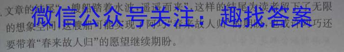 2023年普通高等学校招生全国统一考试进阶模拟试卷(仿真冲刺卷)(二)2语文