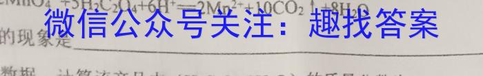 2023年河北省初中毕业升学摸底考试化学