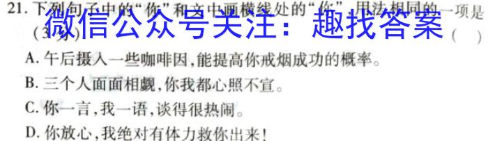 佩佩教育·2023年普通高校统一招生考试 湖南四大名校名师团队模拟冲刺卷(2)语文