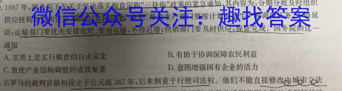 安徽省九年级2022-2023学年新课标闯关卷（十五）AH历史