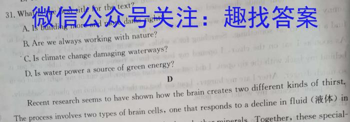 安徽省九年级2022-2023学年新课标闯关卷（十八）AH英语