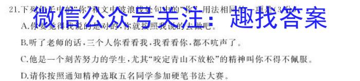 2023年安徽省教育教学联盟大联考·中考密卷（一）语文