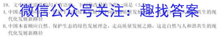 安徽省2023届九年级中考模拟试题卷（一）语文