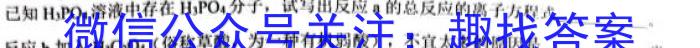 新疆乌鲁木齐2023年高三年级第二次质量监测(问卷)化学