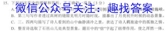 江淮名卷·2023年省城名校中考调研（一）语文