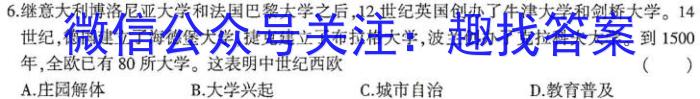 河南省安阳市2023届九年级初中毕业班中考适应性测试历史