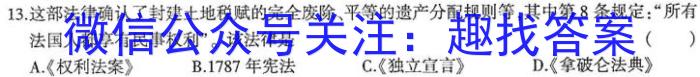 安徽省2022-2023学年九年级三月份限时练习（3月）历史