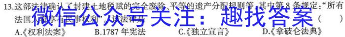 湖北省2024-2023学年九年级上学期期末质量检测历史