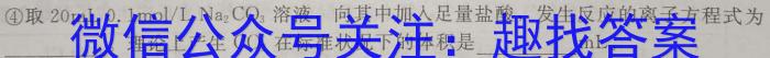 安徽第一卷·2023年中考安徽名校大联考试卷（二）化学