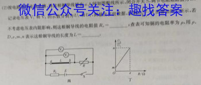 桂柳文化2023届高三桂柳鸿图信息冲刺金卷二(2)物理`