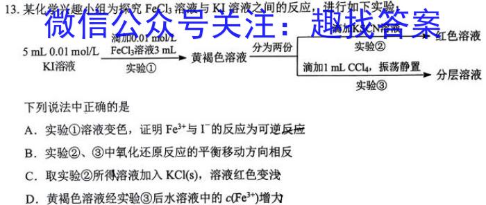 中考必刷卷·安徽省2023年安徽中考第一轮复习卷(九)9化学