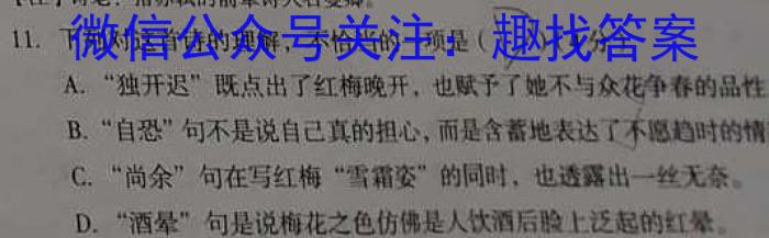 天一大联考·安徽名校2024-2023学年(下)高三顶尖计划联考语文