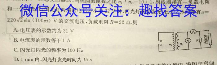 耀正文化(湖南四大名校联合编审)·2023届名校名师测评卷(五)5物理`