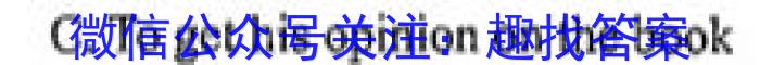 安徽2022~2023学年九年级联盟考试(23-CZ124c)英语