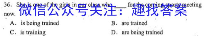 2023四川成都石室中学二诊模拟英语