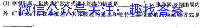 ［天一大联考］2023届海南高三年级3月联考生物试卷答案