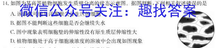 2022~2023学年第一学期高二年级期末考试生物
