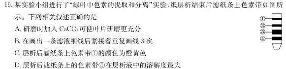 ［开封二模］2023年开封市高三年级第二次模拟考试生物