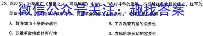 安徽省2023届第二学期九年级作业辅导练习历史