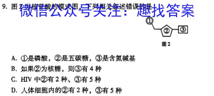 [辽宁一模]辽宁省辽南协作体2024-2023学年度下学期高三第一次模拟考试生物