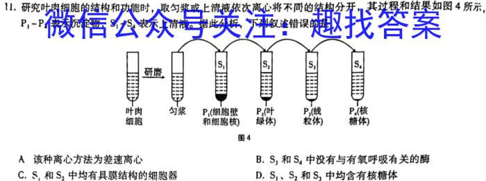 2023年普通高等学校招生全国统一考试·冲刺卷 老高考(一)1生物