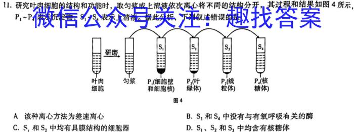 铜仁市2023年高三适应性考试（二）生物