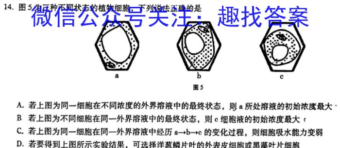 2025届湖南高二年级3月联考生物
