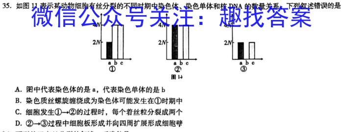 2023年大同市高三年级阶段性模拟测试生物试卷答案