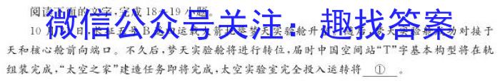 2023年陕西省铜川市中考模拟预测卷语文