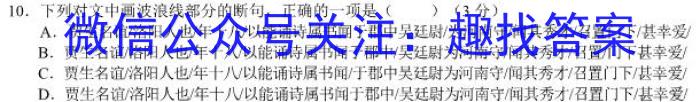 2022-023学年安徽省九年级下学期阶段性质量监测（六）语文