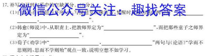安徽省淮南市2023年九年级第二学期第五次综合性作业设计语文