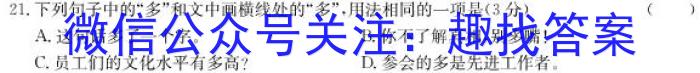 安徽第一卷·2023年中考安徽名校大联考试卷（一）B卷语文