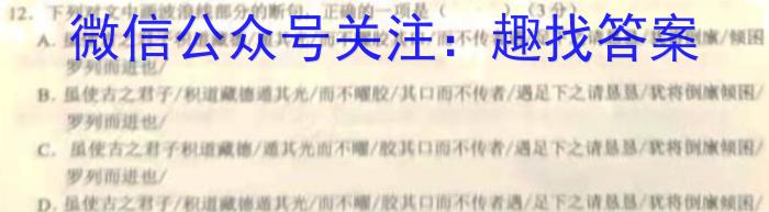 安徽2022~2023学年九年级联盟考试(23-CZ124c)语文