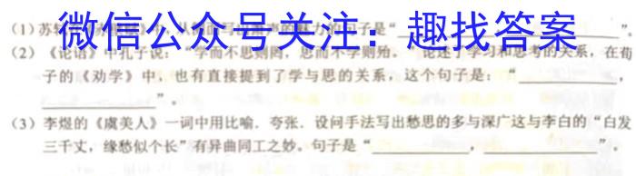 江西省2023年初中学业水平考试（三）语文