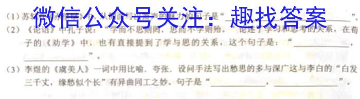 陕西省西安市西咸新区2023年初中学业水平考试模拟试题（一）A版语文