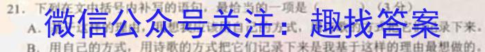 安师联盟2023年中考权威预测模拟考试（四）语文