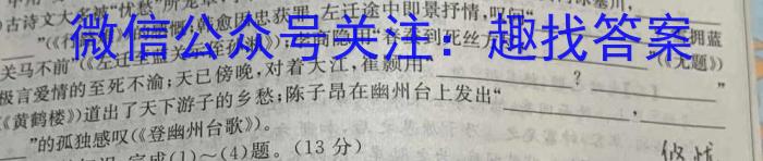 江淮名卷2023年中考模拟信息卷(四)4语文