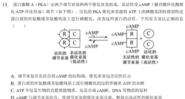 2023届普通高等学校招生全国统一考试冲刺预测·全国卷 YX-E(五)5生物