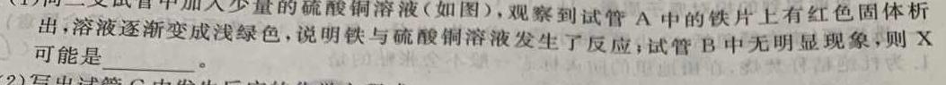 炎德英才大联考湖南师大附中2022-2023高二第二学期第一次大练习化学