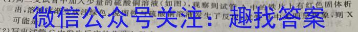 山东省2023届九年级第二学期片区九校联合检测化学