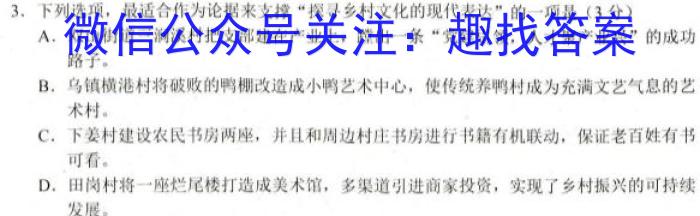 天一大联考 河南省2022-2023九年级学业水平诊断(一)语文